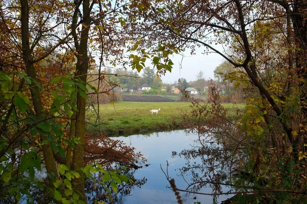 Güzel Göl Manzarası — Stok fotoğraf