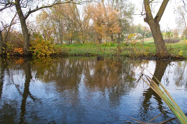 Őszi Erdő Táj Gyönyörű Fák Folyó — Stock Fotó