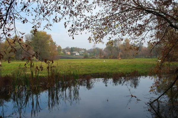 Parktaki Gölün Güzel Manzarası — Stok fotoğraf