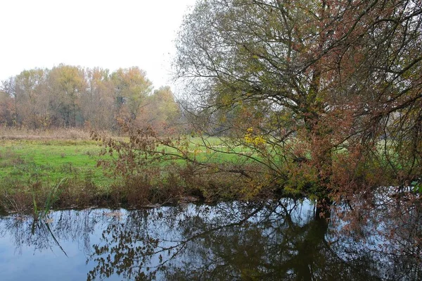 Autumn Forest Landscape Beautiful Trees River — 스톡 사진