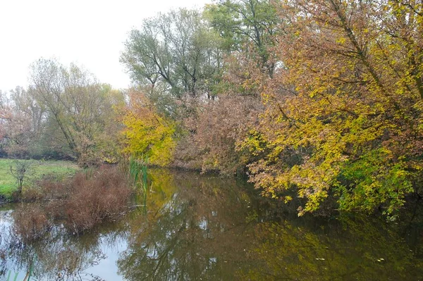 Paysage Automne Avec Arbres Feuilles — Photo