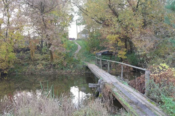 Houten Brug Het Bos — Stockfoto