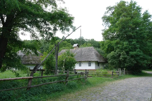 Vecchia Casa Legno Nel Bosco — Foto Stock