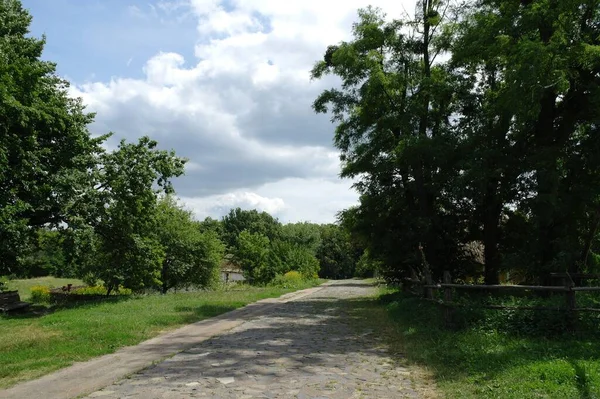 Schöne Aussicht Auf Den Park — Stockfoto