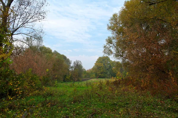 Piękny Jesienny Krajobraz Jasnymi Drzewami — Zdjęcie stockowe