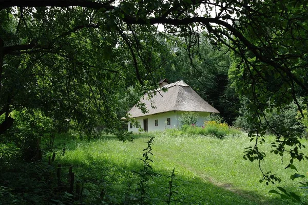 Stary Drewniany Dom Lesie — Zdjęcie stockowe