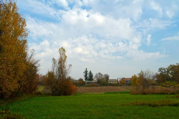 Malebná Krajina Podzimními Stromy — Stock fotografie