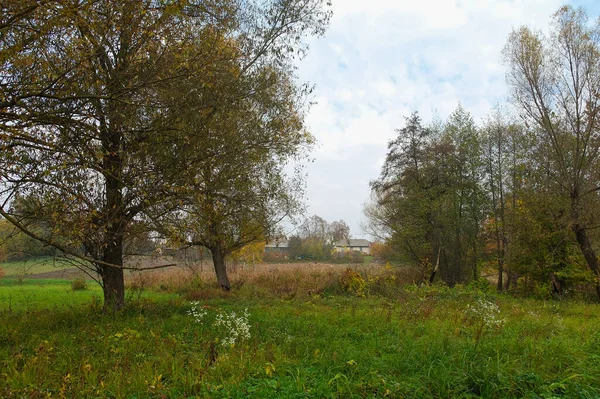 Malebná Krajina Podzimními Stromy — Stock fotografie