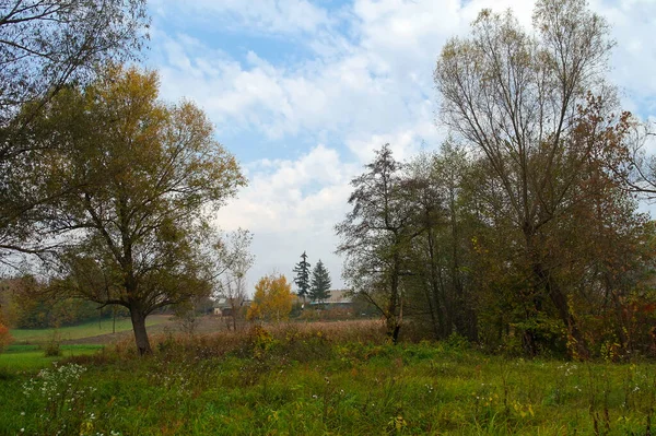 Krásná Podzimní Krajina Jasnými Stromy — Stock fotografie