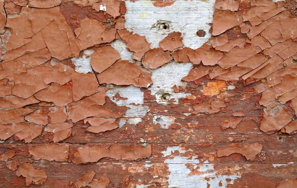 Old Cracked Paint Peeling — Stock fotografie