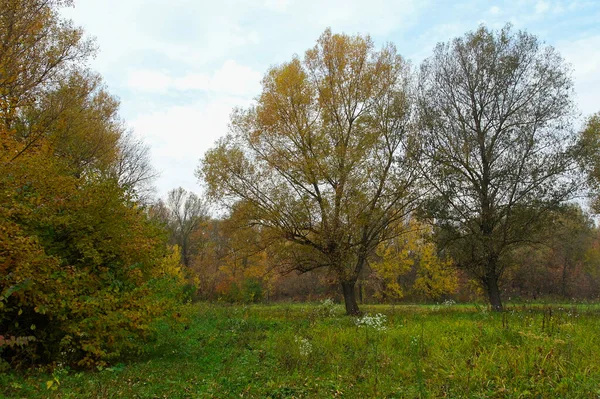 Doğanın güzel bir sahnesi.