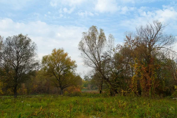 Doğanın güzel bir sahnesi.
