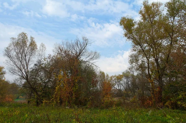 Doğanın güzel bir sahnesi.