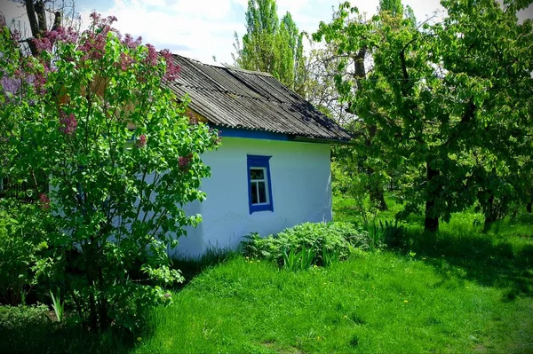 Köydeki eski geleneksel Ukrayna evi.