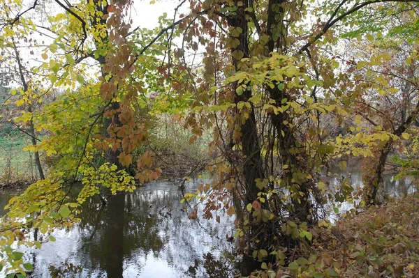 Doğanın güzel bir sahnesi.