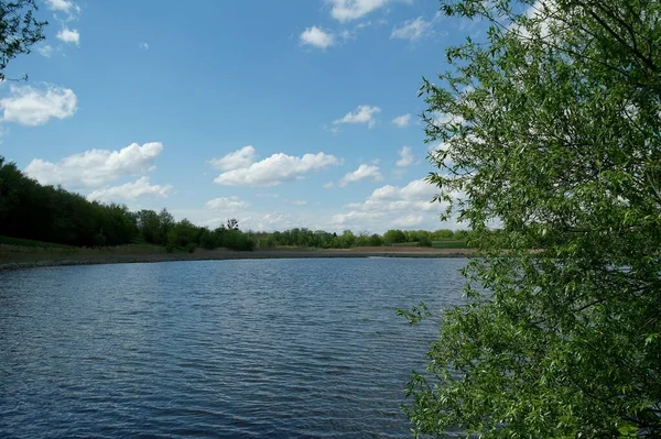 Красивий Знімок Природи Сцени — стокове фото