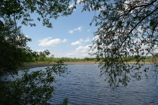 Doğanın güzel bir sahnesi.