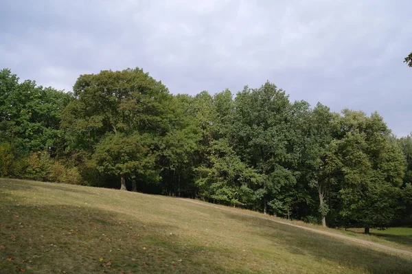 Parkın güzel manzarası