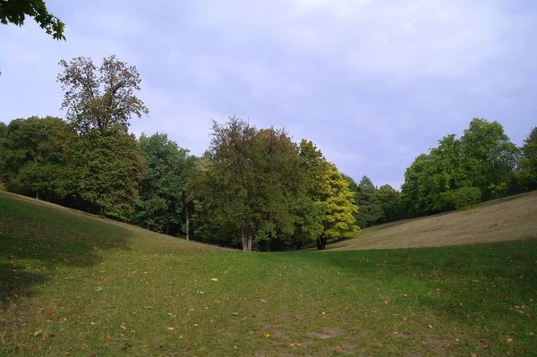 Schöne Landschaft Mit Einem Baum Und Einem Grünen Gras — Stockfoto