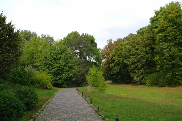 Schöne Aussicht Auf Den Park — Stockfoto