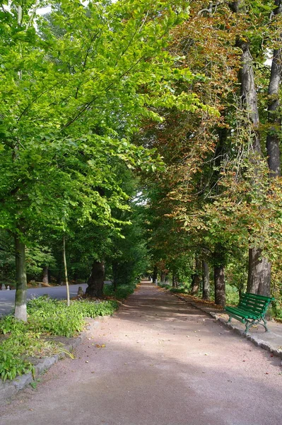 Schöne Aussicht Auf Den Park — Stockfoto