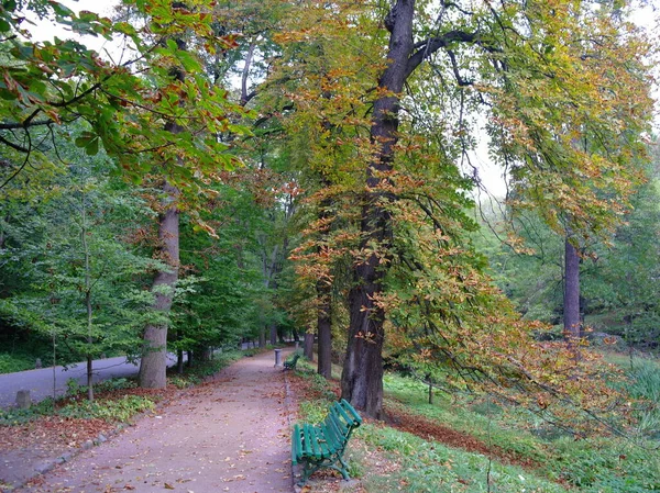 Prachtig Landschap Van Herfstbos — Stockfoto