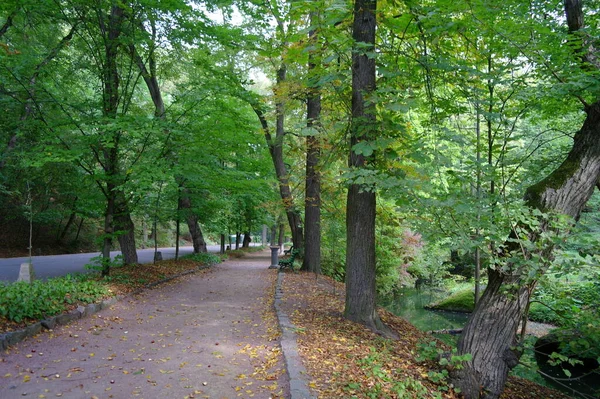 Prachtig Uitzicht Het Park — Stockfoto