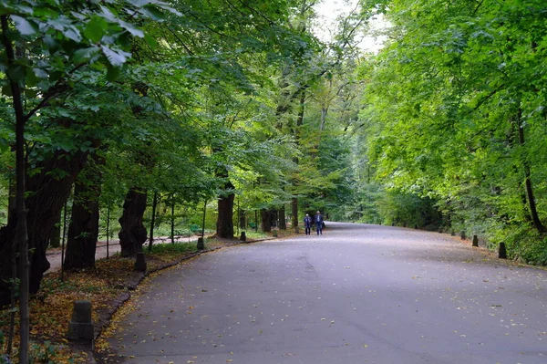 Bella Vista Sul Parco — Foto Stock