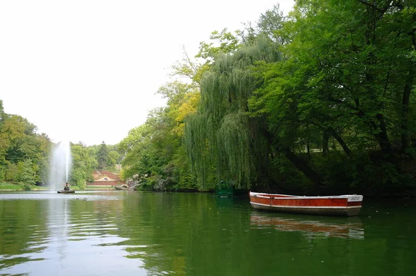 Beau Paysage Avec Rivière Arbres — Photo