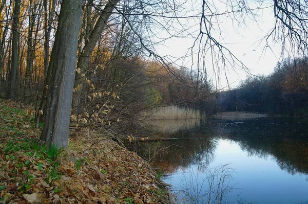 Herfst Boslandschap Met Prachtige Bomen Rivier — Stockfoto