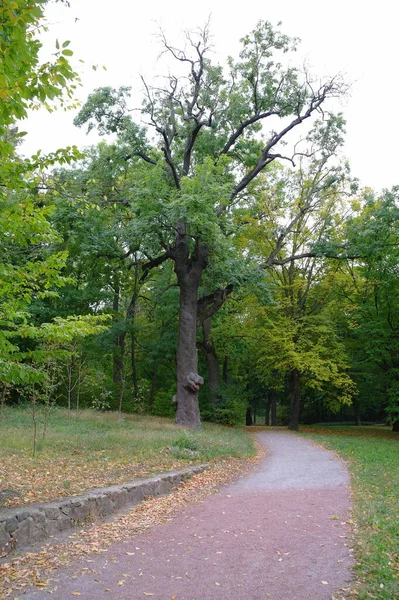 Hermosa Vista Del Parque —  Fotos de Stock