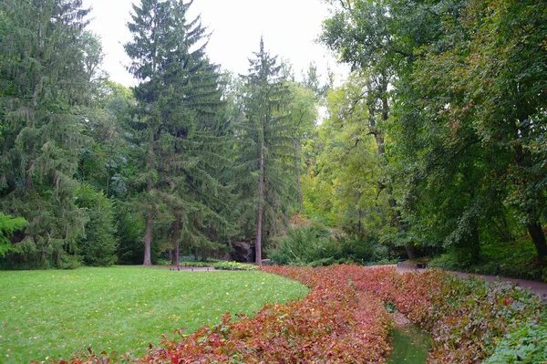 Hermoso Paisaje Con Río Bosque — Foto de Stock