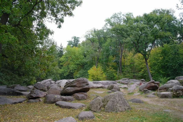 Schöne Aussicht Auf Den Park — Stockfoto