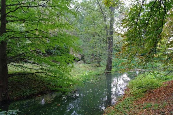 Schöne Landschaft Mit Einem Fluss Wald — Stockfoto