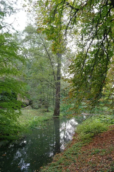 Herbstliche Waldlandschaft Mit Schönen Bäumen Und Fluss — Stockfoto