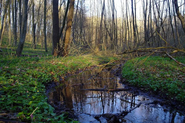 Güzel bahar manzara nehir ile 