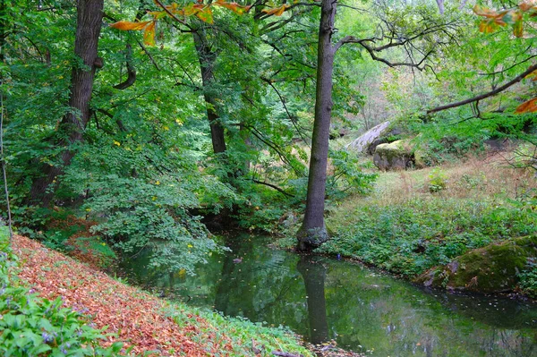 Jesienny Krajobraz Leśny Pięknymi Drzewami Rzeką — Zdjęcie stockowe