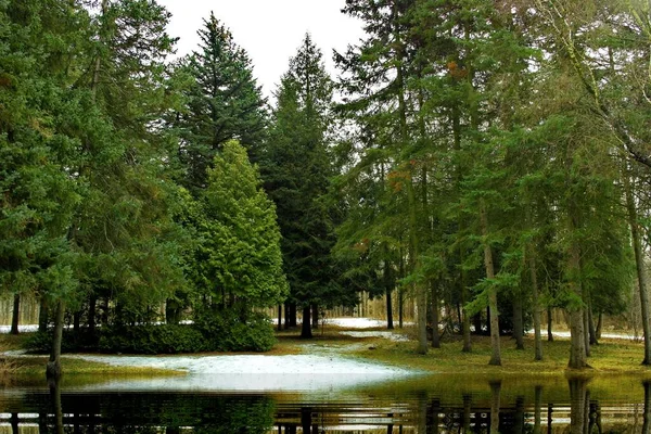 Hermosa Vista Del Parque — Foto de Stock