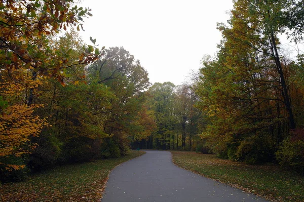 Path Autumn Park Beautiful Trees — стоковое фото