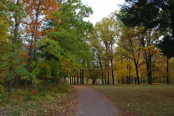 Camino Parque Otoño Con Hermosos Árboles — Foto de Stock