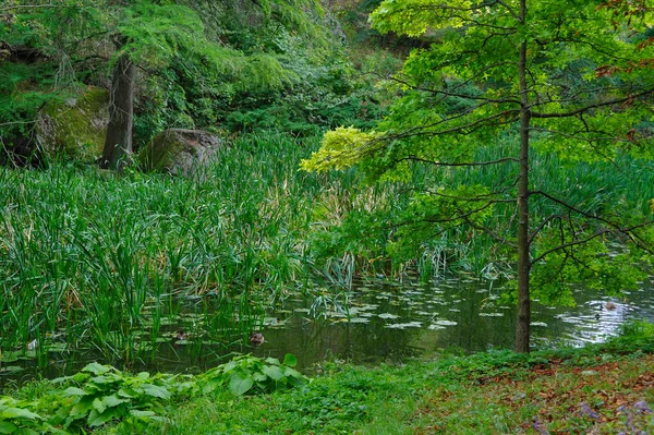 Schöner Blick Auf Den See — Stockfoto