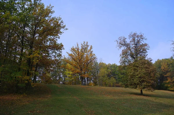 Malerische Landschaft Mit Herbstbäumen — Stockfoto