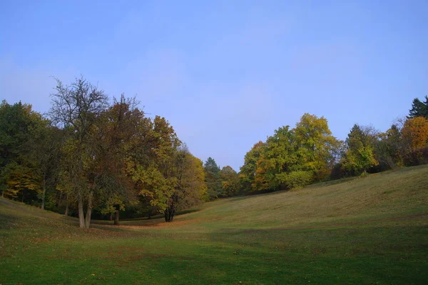 五彩缤纷的秋树风景 — 图库照片