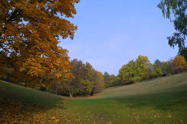 Paisaje Pintoresco Con Árboles Otoño —  Fotos de Stock