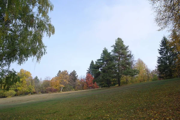 Beautiful Autumn Landscape Bright Trees — Fotografia de Stock