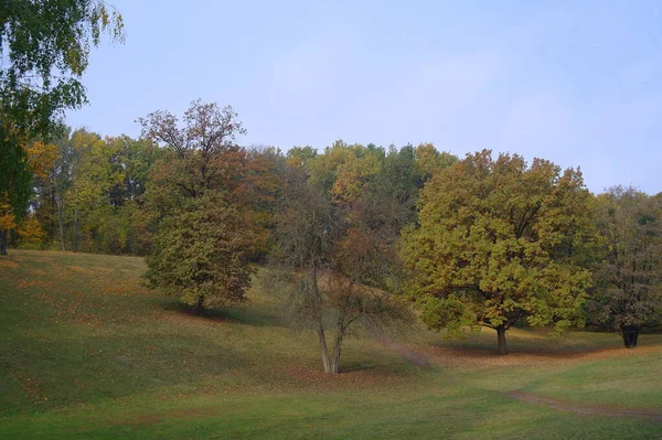 Paisaje Pintoresco Con Árboles Otoño —  Fotos de Stock