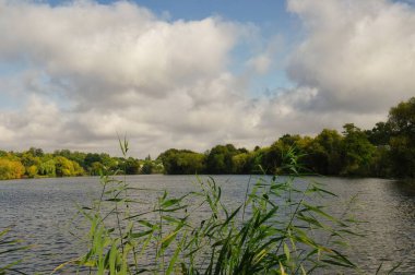 Güzel bahar manzara nehir ile 