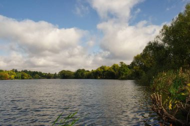 Arka planda nehir ve göl olan güzel bir manzara.