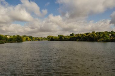 Ormandaki nehrin güzel manzarası