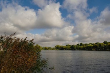Ormandaki gölün güzel manzarası